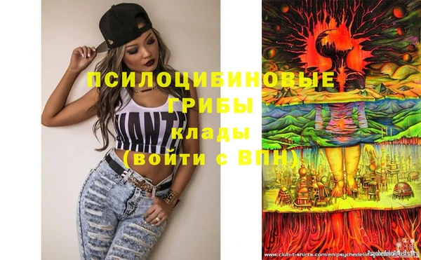 гашик Бугульма