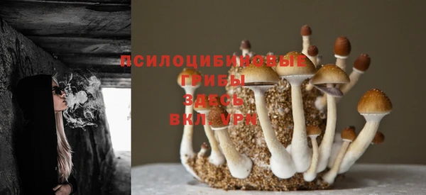 винт Бородино