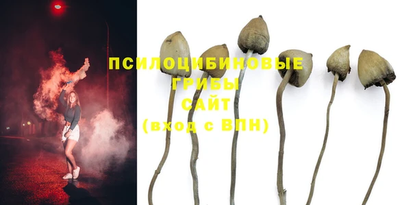 гашик Бугульма