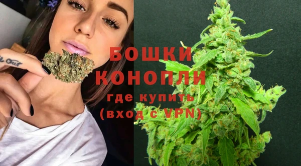 винт Бородино