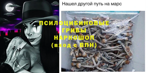 винт Бородино