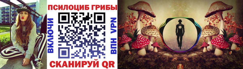 MEGA зеркало  Томари  Галлюциногенные грибы Magic Shrooms 